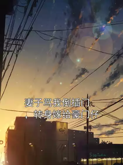 妻子骂我倒插门，转身嫁给豪门仔小说