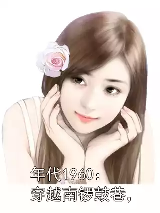 年代1960：穿越南锣鼓巷，小说