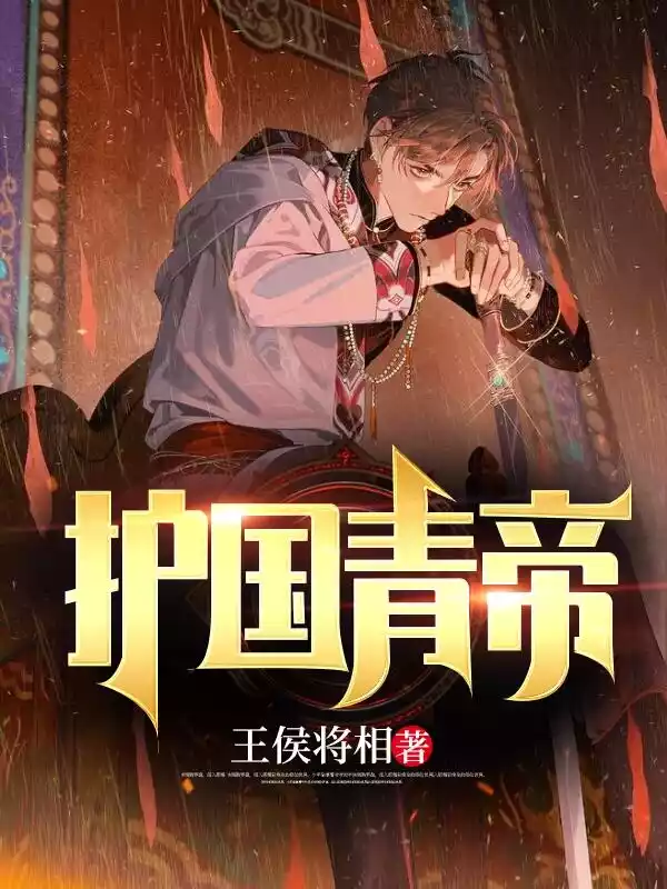 护国青帝小说