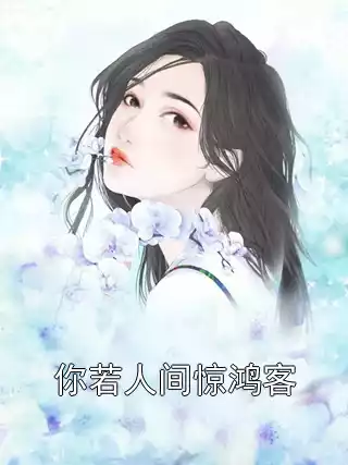 你若人间惊鸿客小说
