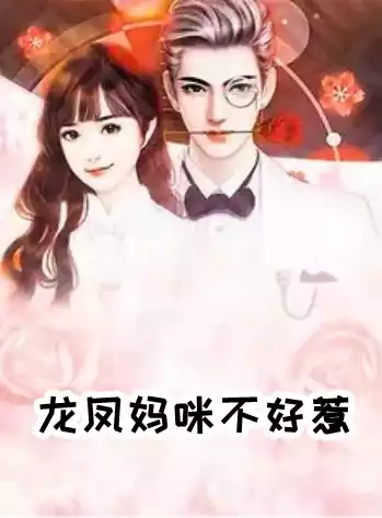 龙凤妈咪不好惹小说