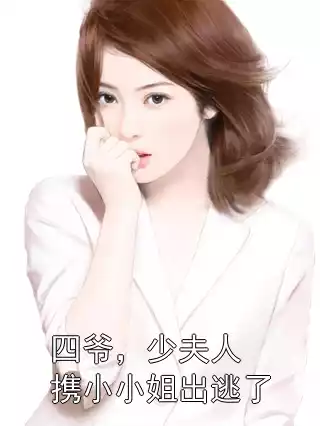 四爷，少夫人携小小姐出逃了小说