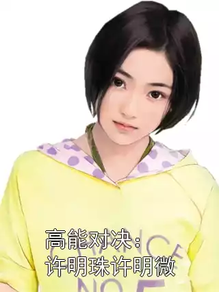 高能对决：许明珠许明微小说
