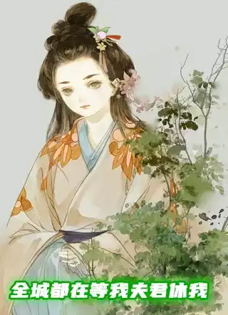 全城都在等我夫君休我小说