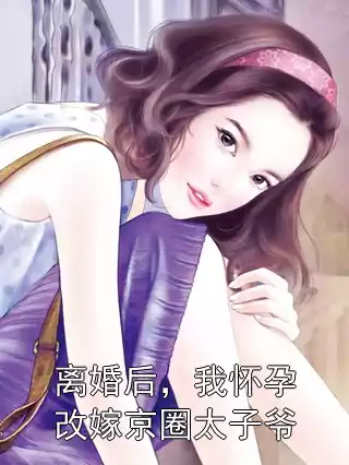 离婚后，我怀孕改嫁京圈太子爷小说