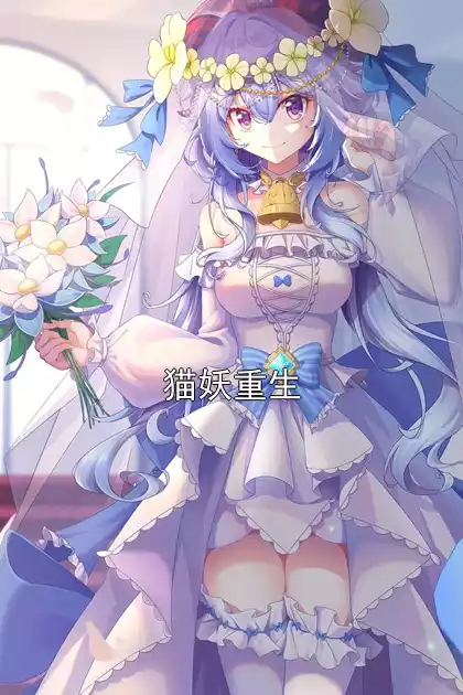 猫妖重生
