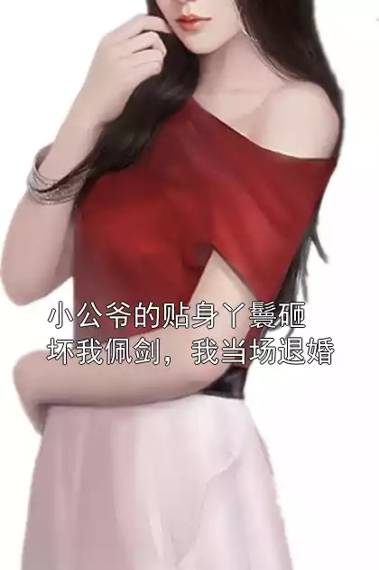 小公爷的贴身丫鬟砸坏我佩剑，我当场退婚