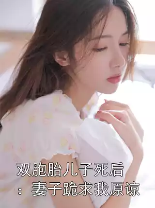 双胞胎儿子死后：妻子跪求我原谅小说