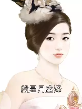 段星月盛泽小说