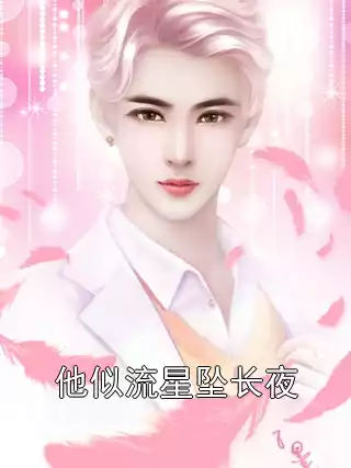 他似流星坠长夜小说