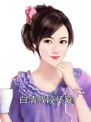 白清叙段怀宴小说