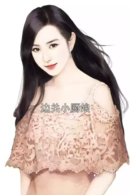 边关小厨娘小说
