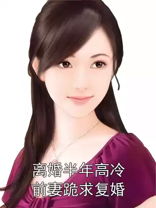 离婚半年高冷前妻跪求复婚小说