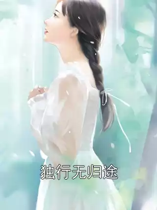 独行无归途小说