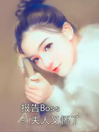 报告Boss：夫人又怀了