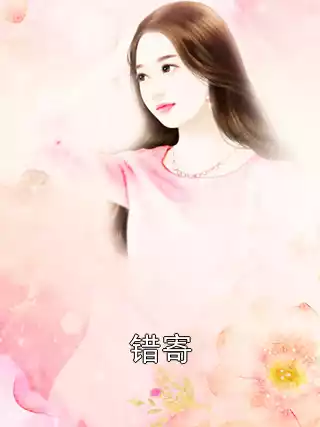 错寄小说