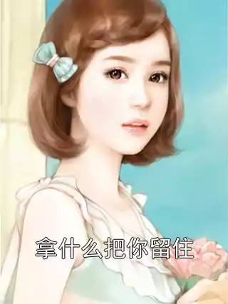 拿什么把你留住小说