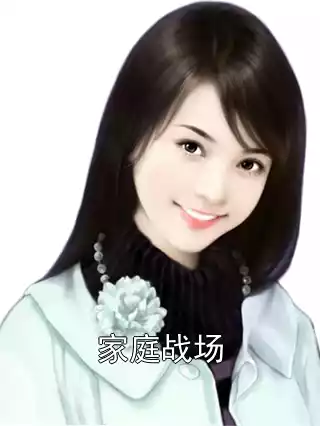 家庭战场小说
