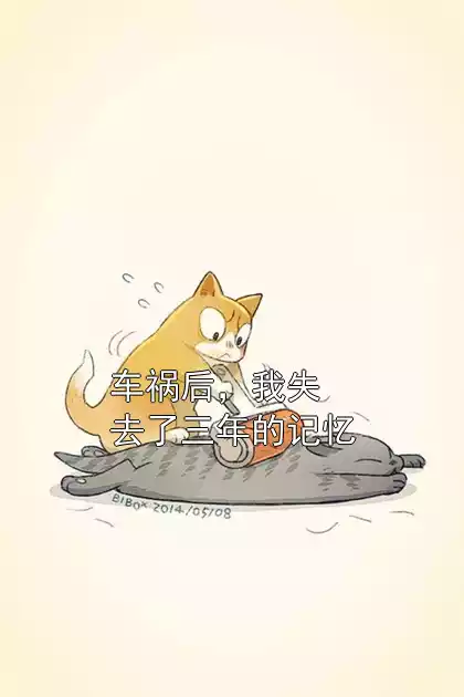 车祸后，我失去了三年的记忆小说