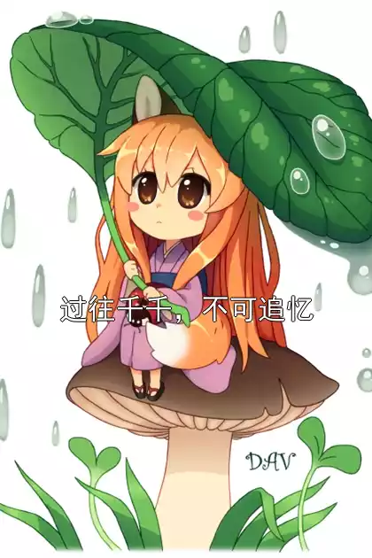 过往千千，不可追忆小说