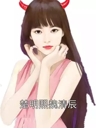 楚明熙魏清辰小说