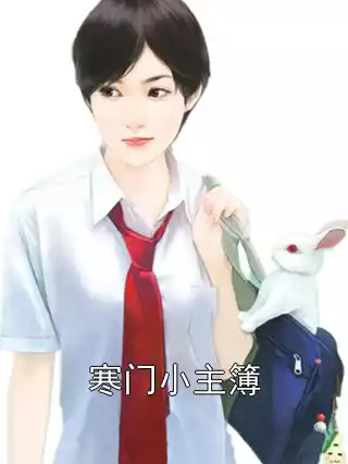 寒门小主簿