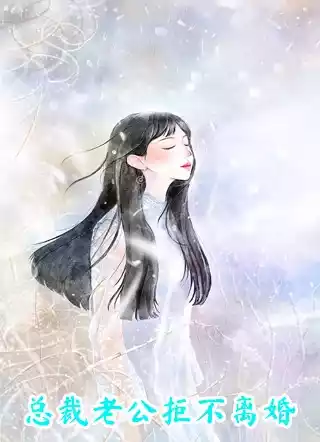 总裁老公拒不离婚小说