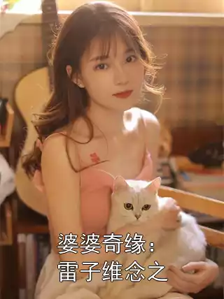 婆婆奇缘：雷子维念之小说