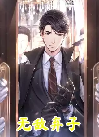 无敌弃子小说