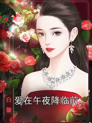 爱在午夜降临前小说