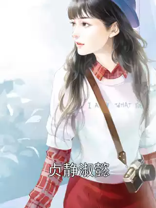 贞静淑懿小说