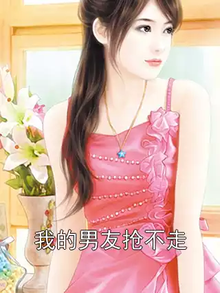 我的男友抢不走小说