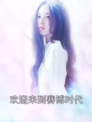 欢迎来到赛博时代小说