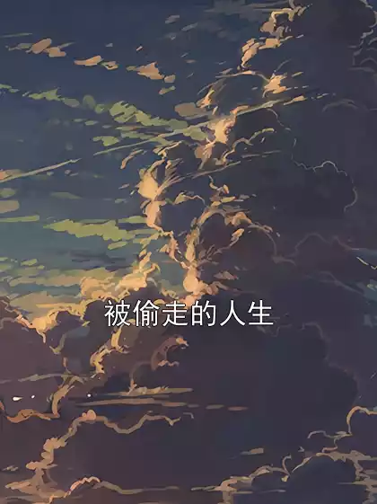 被偷走的人生小说