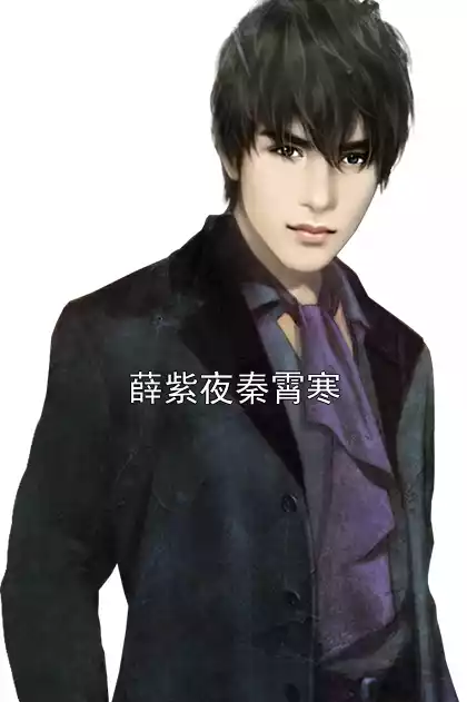 薛紫夜秦霄寒小说
