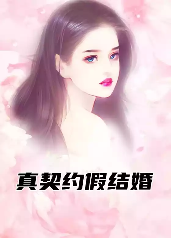 真契约假结婚小说