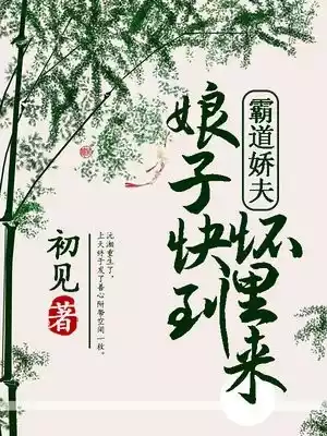 霸道娇夫娘子快到怀里来小说