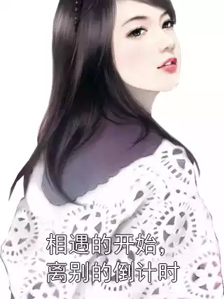 相遇的开始，离别的倒计时小说