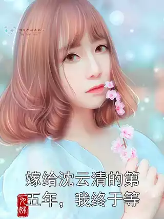 嫁给沈云清的第五年，我终于等
