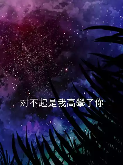对不起是我高攀了你小说