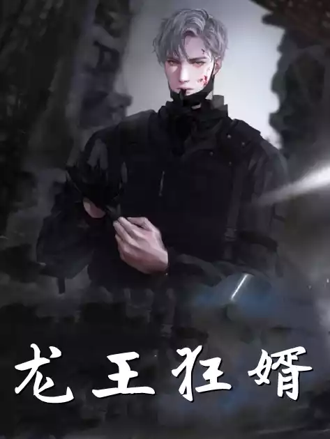 龙王狂婿杨锐