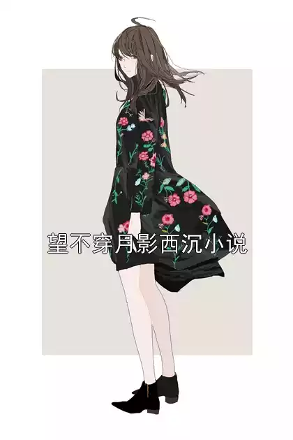 望不穿月影西沉小说