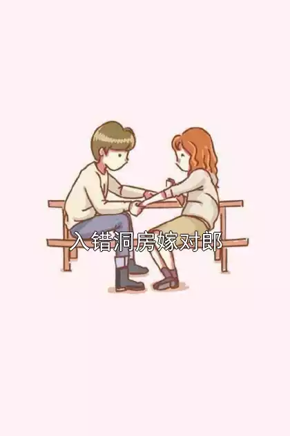 入错洞房嫁对郎小说