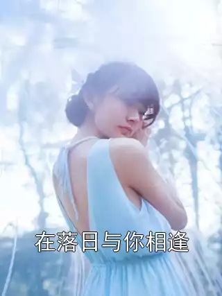 在落日与你相逢