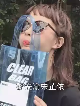 黎安渝宋芷依小说