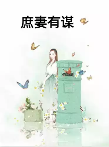庶妻有谋小说
