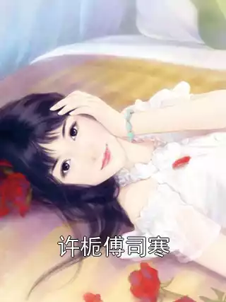 许栀傅司寒小说