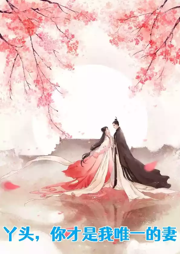 丫头你才是我唯一的妻小说