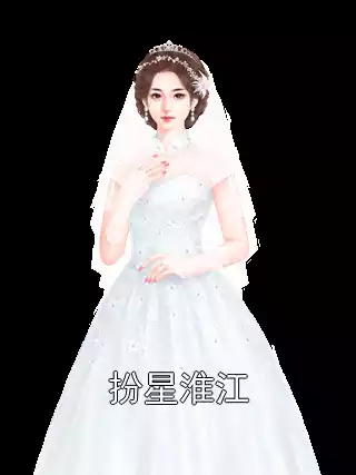 扮星淮江小说