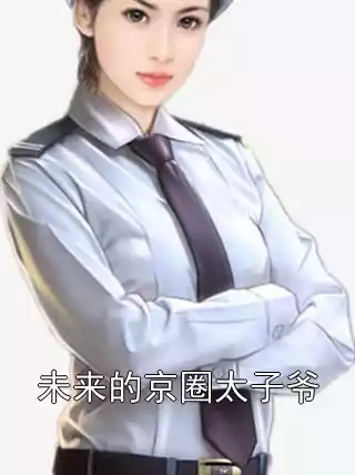 未来的京圈太子爷小说